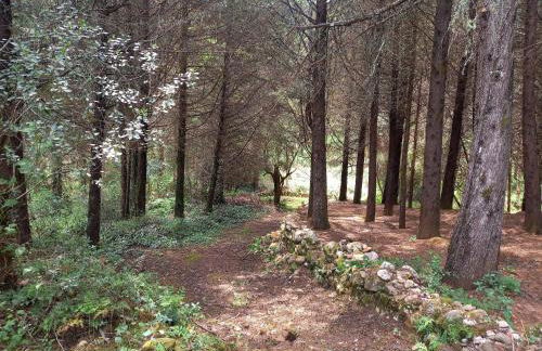 Casa da Póvoa - Foto 75