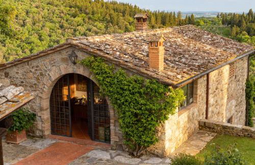 Cipressini - Foto 26