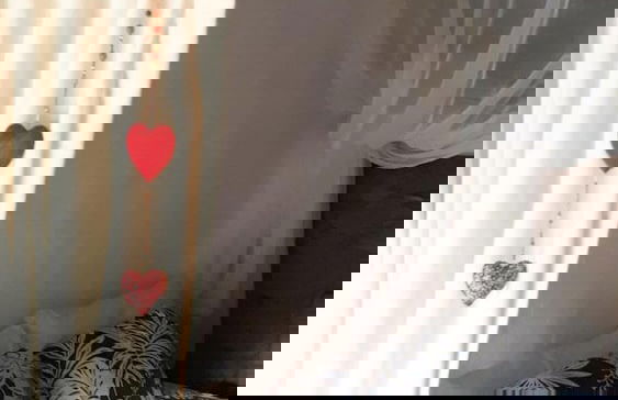 Finca La Principal - Foto 14