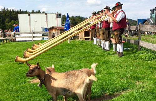 Ferienwohnung Heimatliebe - Photo 20