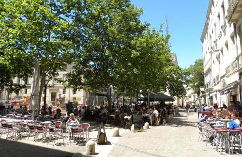 La Terrasse du Marché aux Fleurs - Foto 2