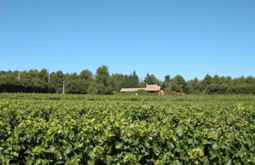 Proche Roussillon, La villa rouge Luberon, piscine chauffée, climatisation et vue Luberon - Foto 39