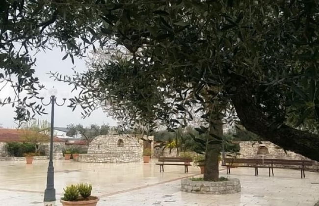 Agriturismo Regno di Marzagaglia - Foto 54