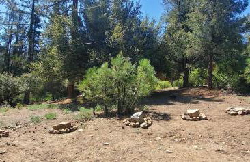 Bearly Connected, a brand new cabin in the woods - Foto 38