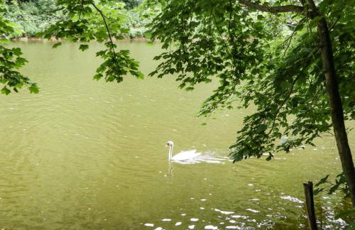 Brewery Lodge - Foto 14