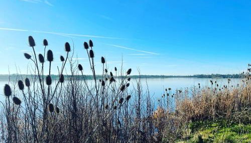 Potters Lodge - private parking & self check in - Foto 5