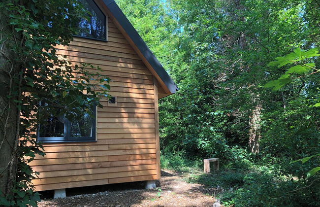 Woodland Cabin Retreat in Alfriston - hot tub - Foto 11