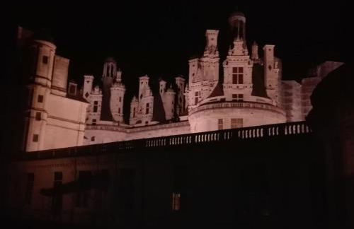 Gîte tout confort avec jardin près du Château de Chambord, idéal pour familles et amis - FR-1-491-372 - Foto 17