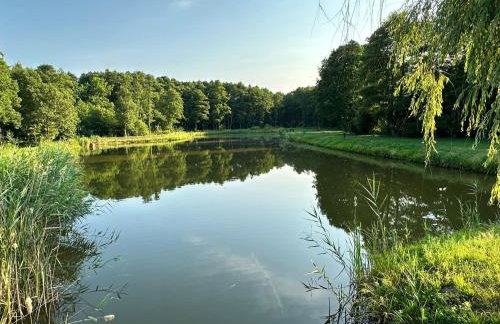 Osada Gęsin - Foto 26