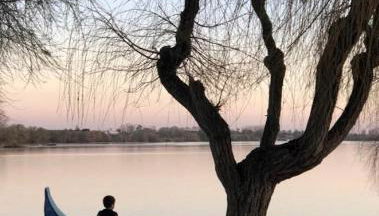 Casas Morgado - Foto 5