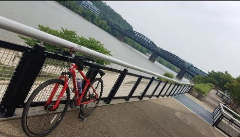 Pet Friendly 3 Bdrm House with Private Yard - Foto 5