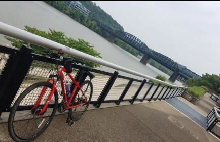 Pet Friendly 3 Bdrm House with Private Yard - Foto 5