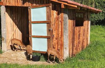 Quinta da Tapada - Foto 31