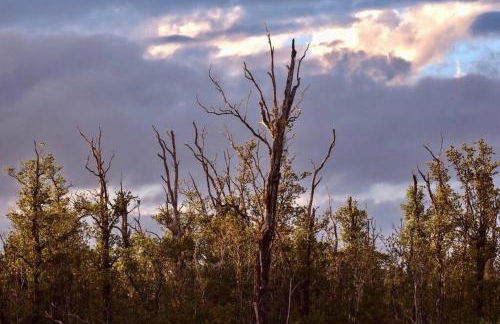 Volcano Home as seen on the Discovery Channel - Foto 43