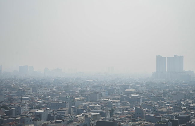 Cozy and Modern 1BR Green Central City Apartment - Foto 14