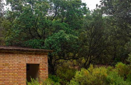 Casa Rural Valle de los Molinos - Foto 52