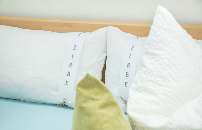 Ferienparadies Reifnhof - Foto 6