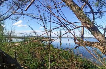 Casa Vacanze Nel Delta del Po - Foto 26