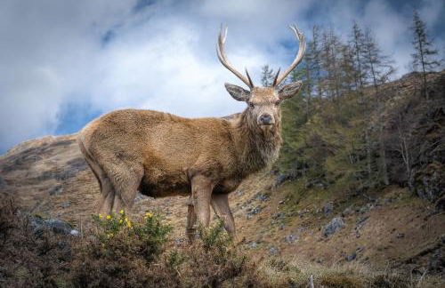 Lann Dearg Studios - Photo 32