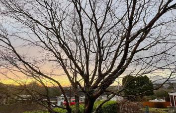 The Garden Annexe, walk to Derriford and close to Dartmoor with Parking - Foto 13