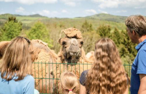 Exklusive Cabins am Rursee inmitten der Natur – mlab relax Eifel - Foto 52