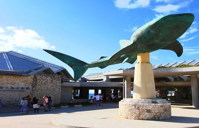 New Normal Hotel in NAGO - Foto 27