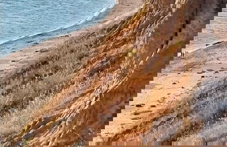 Cirpan Apart Otel - Photo 42