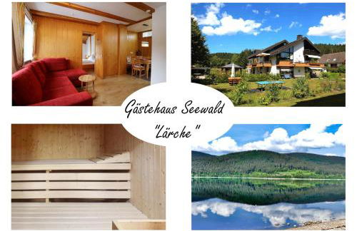 Gästehaus Seewald- Ferienwohnung 4 "Lärche", Schluchsee, Blasiwald - Foto 1