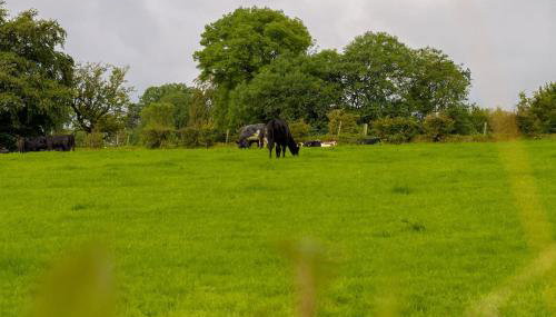 Mc Callstown House Apartment - Foto 4