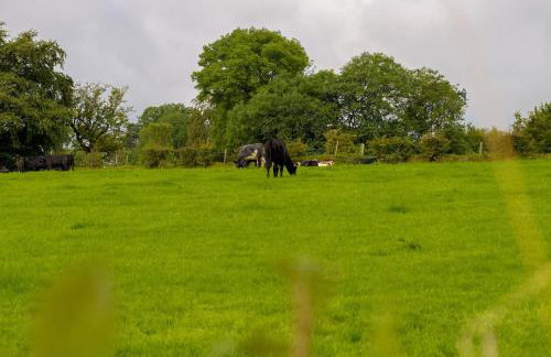 Mc Callstown House Apartment - Foto 4