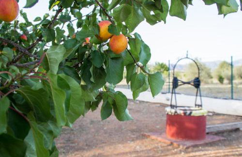 Ktima Anastasia - Foto 49