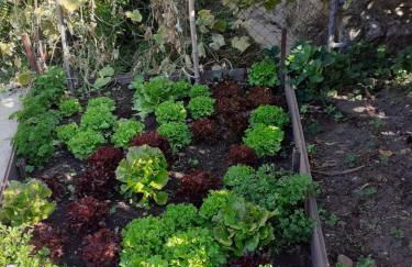 Casa do Galego - Foto 4