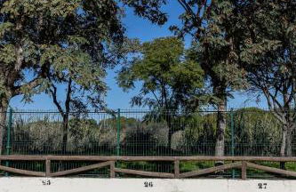 Adosado Cigüeñas IV-Islantilla Golf - Foto 19