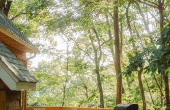 Cheerful Two Bdrm Cabin with Hot Tub & Pet Friendly - Foto 38