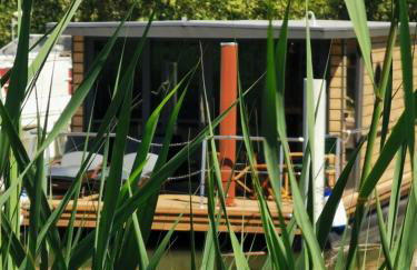 Rêves d'Ô en Camargue, clim réversible, parc naturel - Photo 11