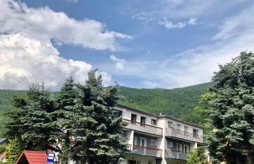 Apartamenty Harnaś - Foto 19