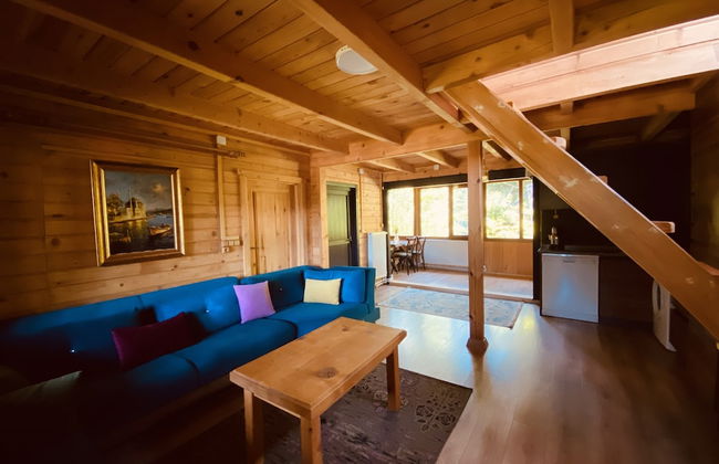 Villa Gencal Ayder - Photo 48