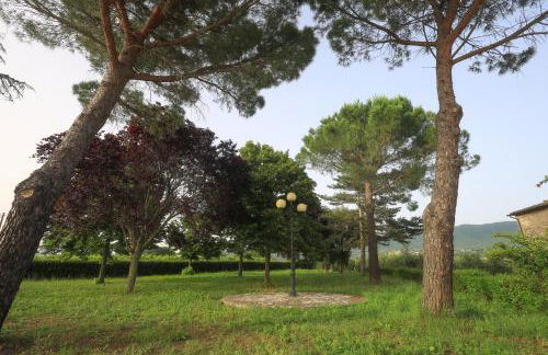 La Palombara - Foto 61