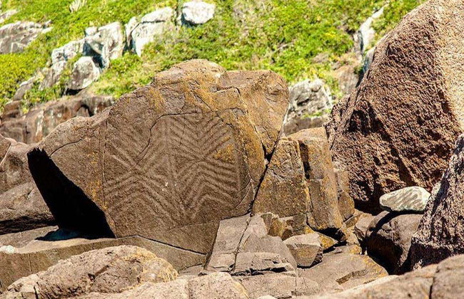 Excursion sur l'île de Campeche - Photo 3