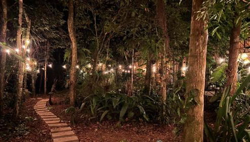 Chalé 1 araponga - Foto 4