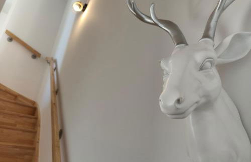 Escapade aux dunes - Photo 6