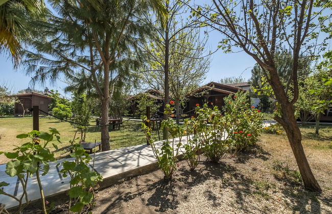 La Maison Hotel Çıralı - Foto 30