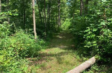 The Hollow House - Foto 34