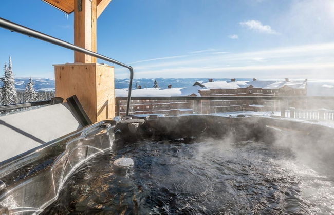 Chalet Monashee-brand New High End W/amazing Views - Photo 27