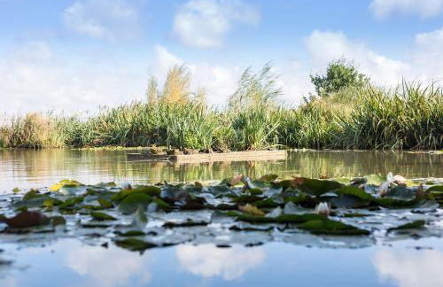 The Retreat, Clematis cottages, Stamford - Foto 31