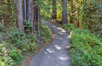 Stylish 3BR Retreat Close to Coast & Wineries - Foto 46