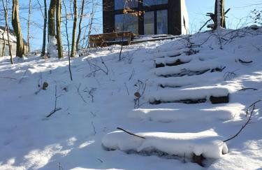 Schody do wody Domek z linią brzegową Kaszuby sauna goraca balia - Foto 49