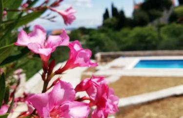 Villa Anja - Foto 11