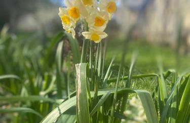 Logis huit clos calme et romantique proche Saumur - Photo 25