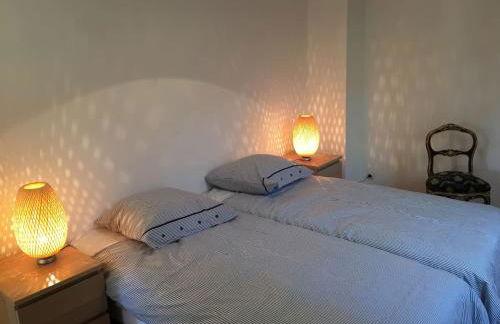 MAS DES VIGNES - View Cité de Carcassonne - Foto 7